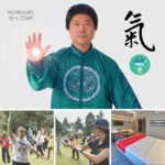 Seminario Tai Chi & Qi Gong para la Salud 2020