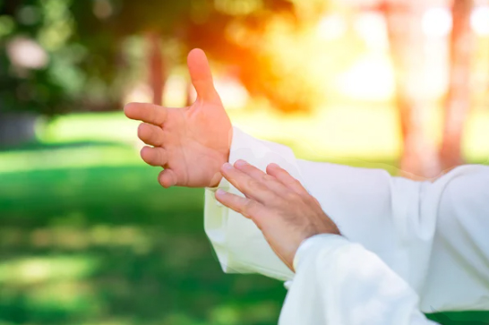 Meditación para la Memoria